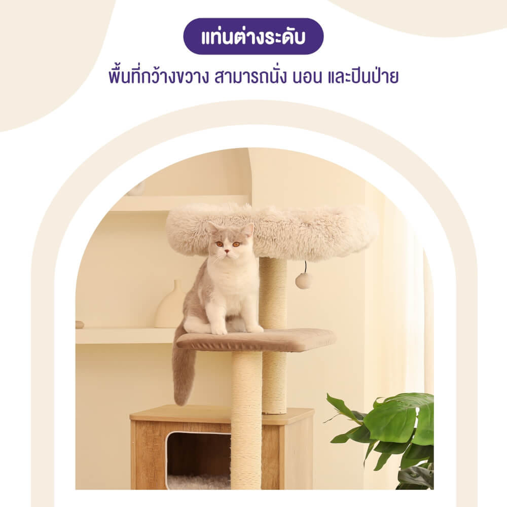 คอนโดแมว Catry รุ่น Cat Tree Casio สีเบจ